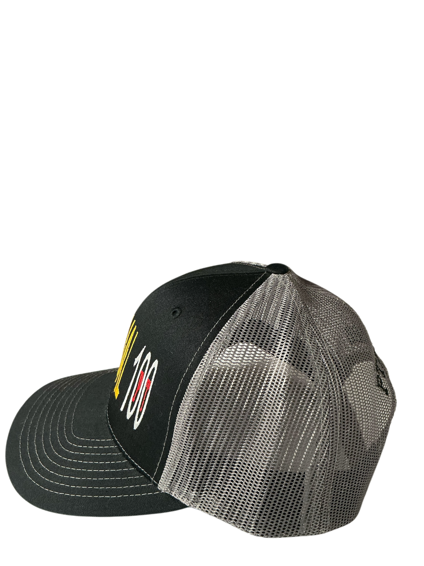 SnapBack Grizzoual 100 Hat