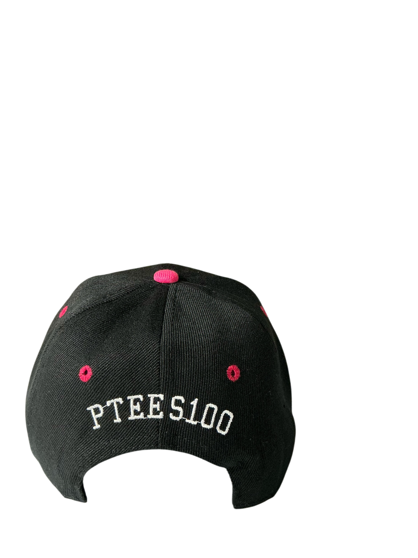 SnapBack Grizzoual 100 Hat