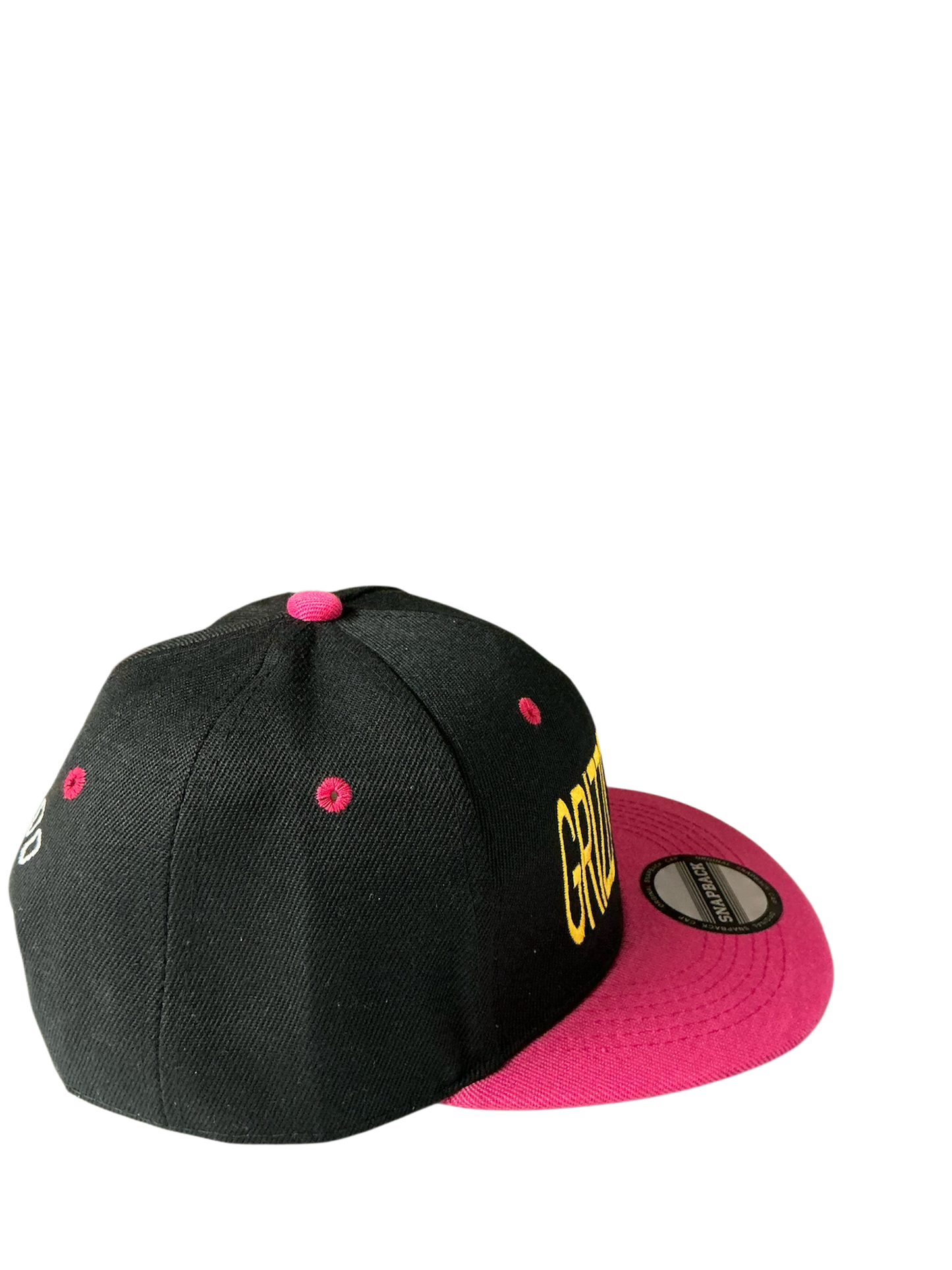 SnapBack Grizzoual 100 Hat