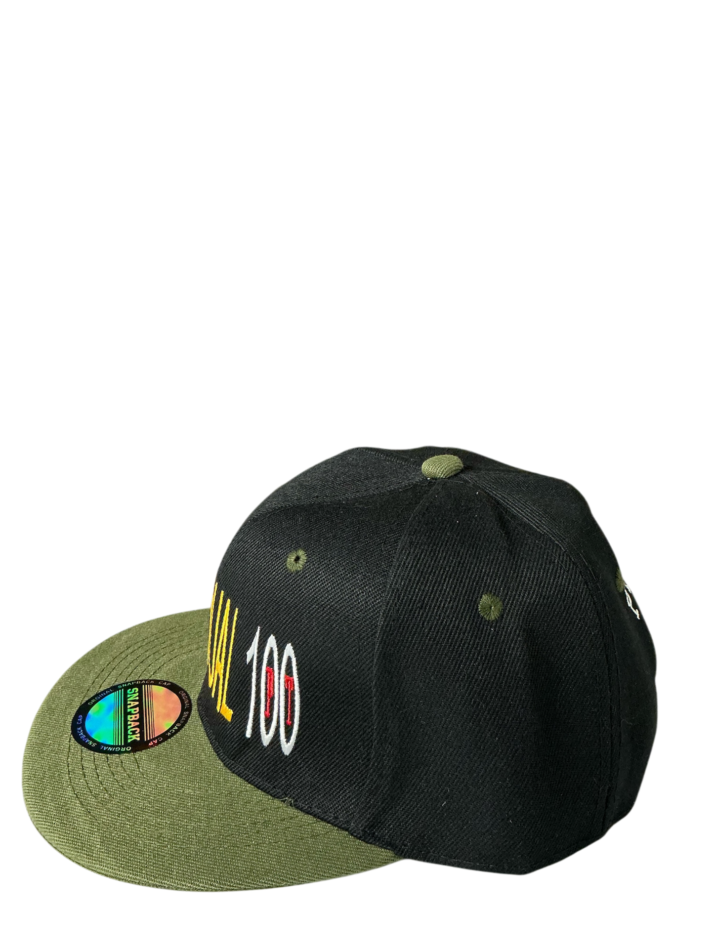 SnapBack Grizzoual 100 Hat