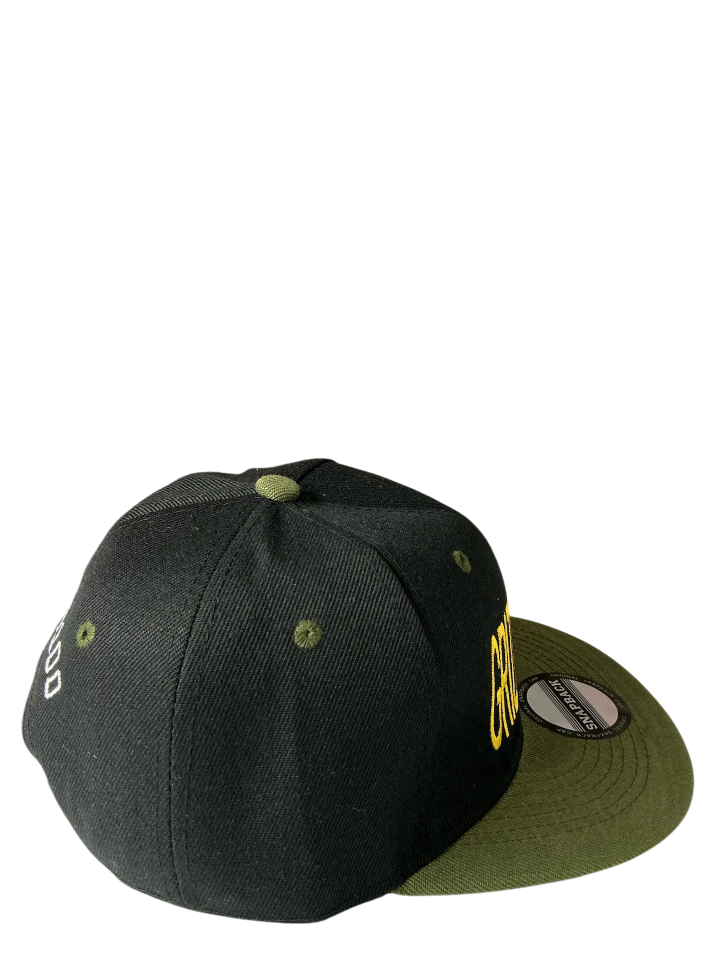 SnapBack Grizzoual 100 Hat