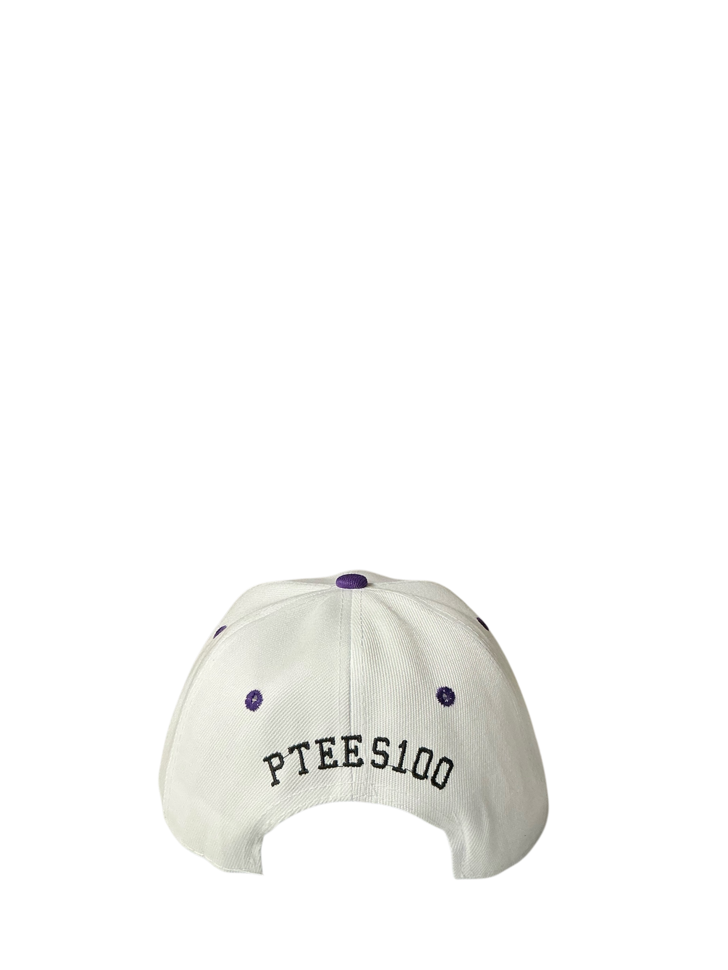 SnapBack Grizzoual 100 Hat