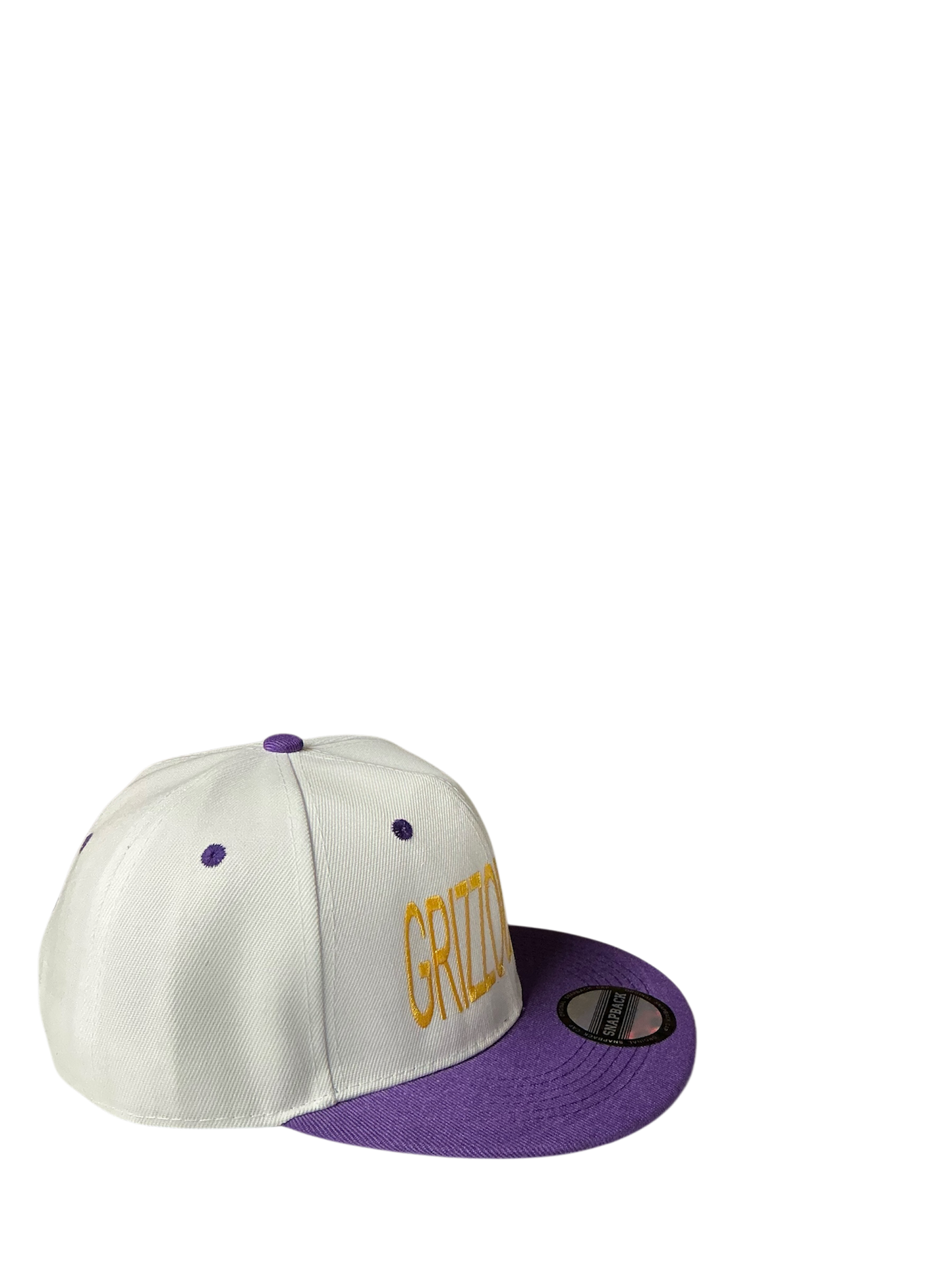 SnapBack Grizzoual 100 Hat