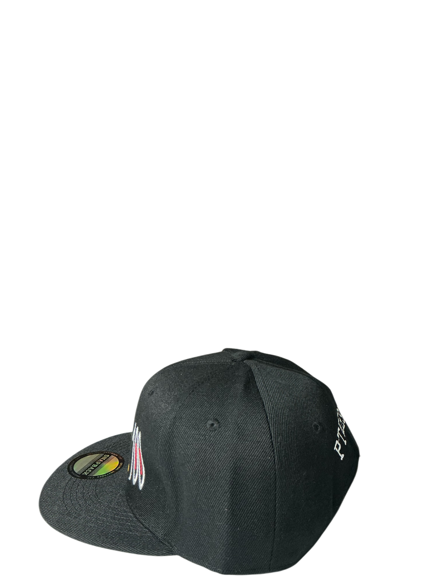 SnapBack Grizzoual 100 Hat