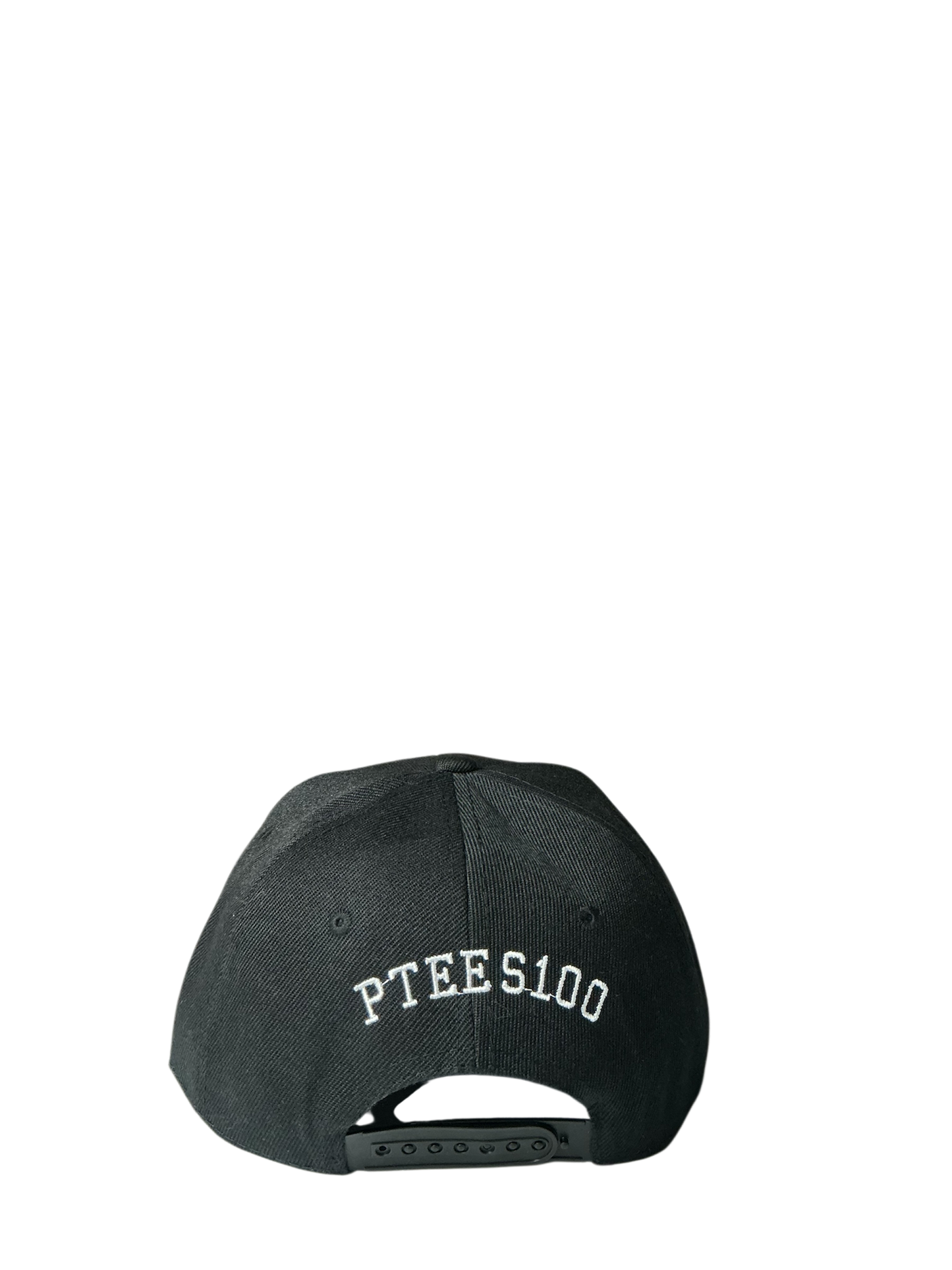 SnapBack Grizzoual 100 Hat