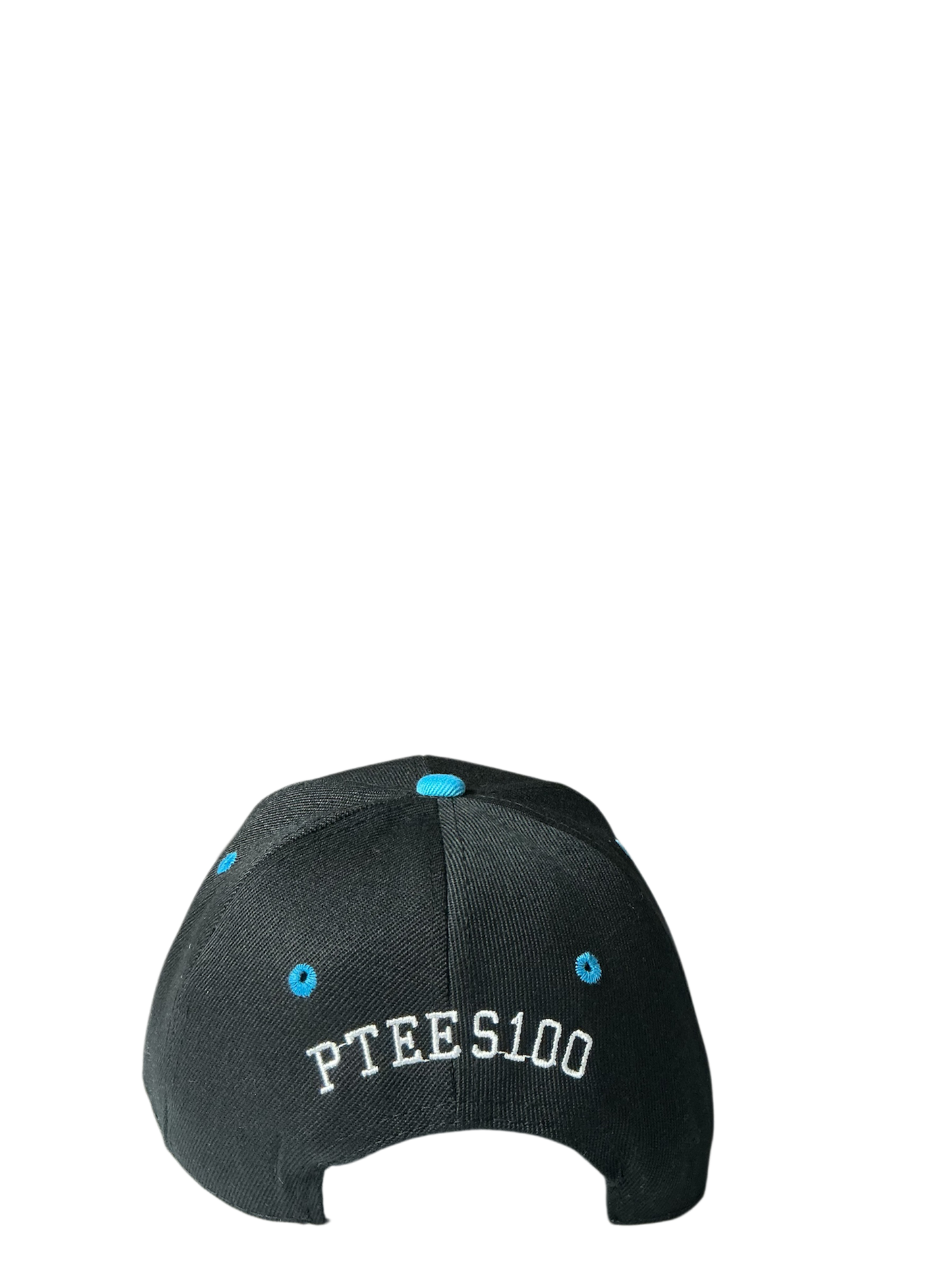 SnapBack Grizzoual 100 Hat