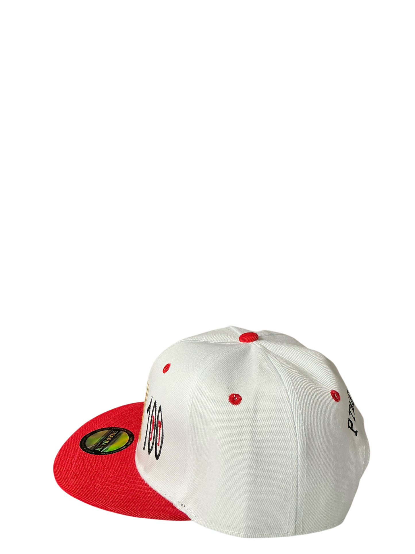 SnapBack Grizzoual 100 Hat