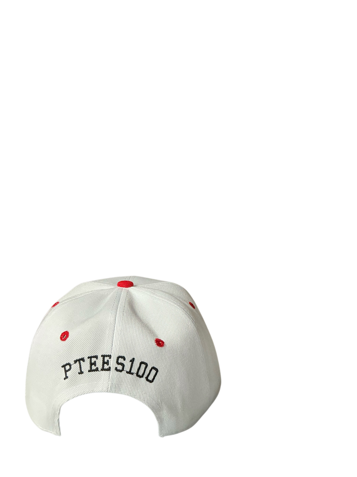 SnapBack Grizzoual 100 Hat