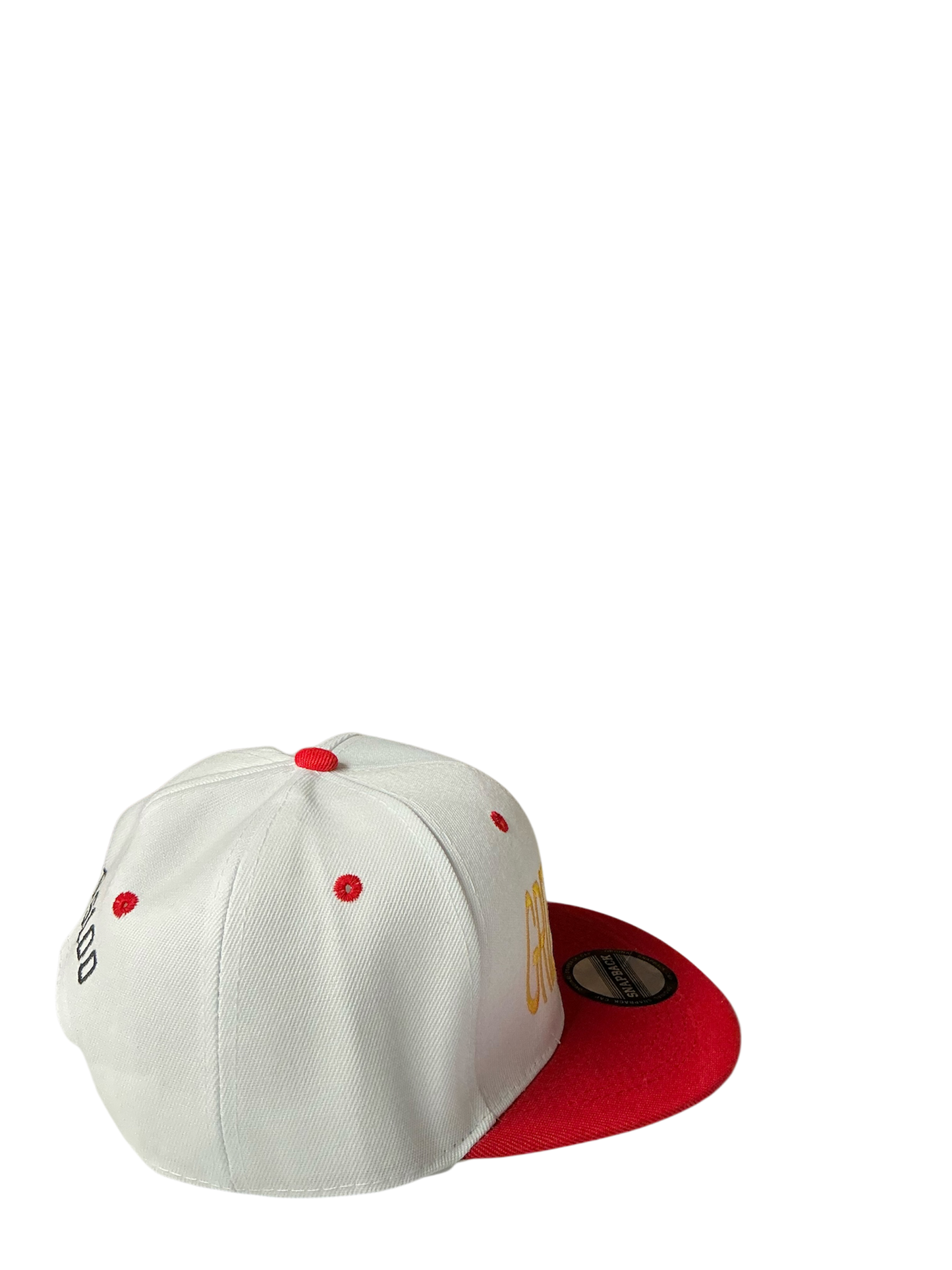 SnapBack Grizzoual 100 Hat