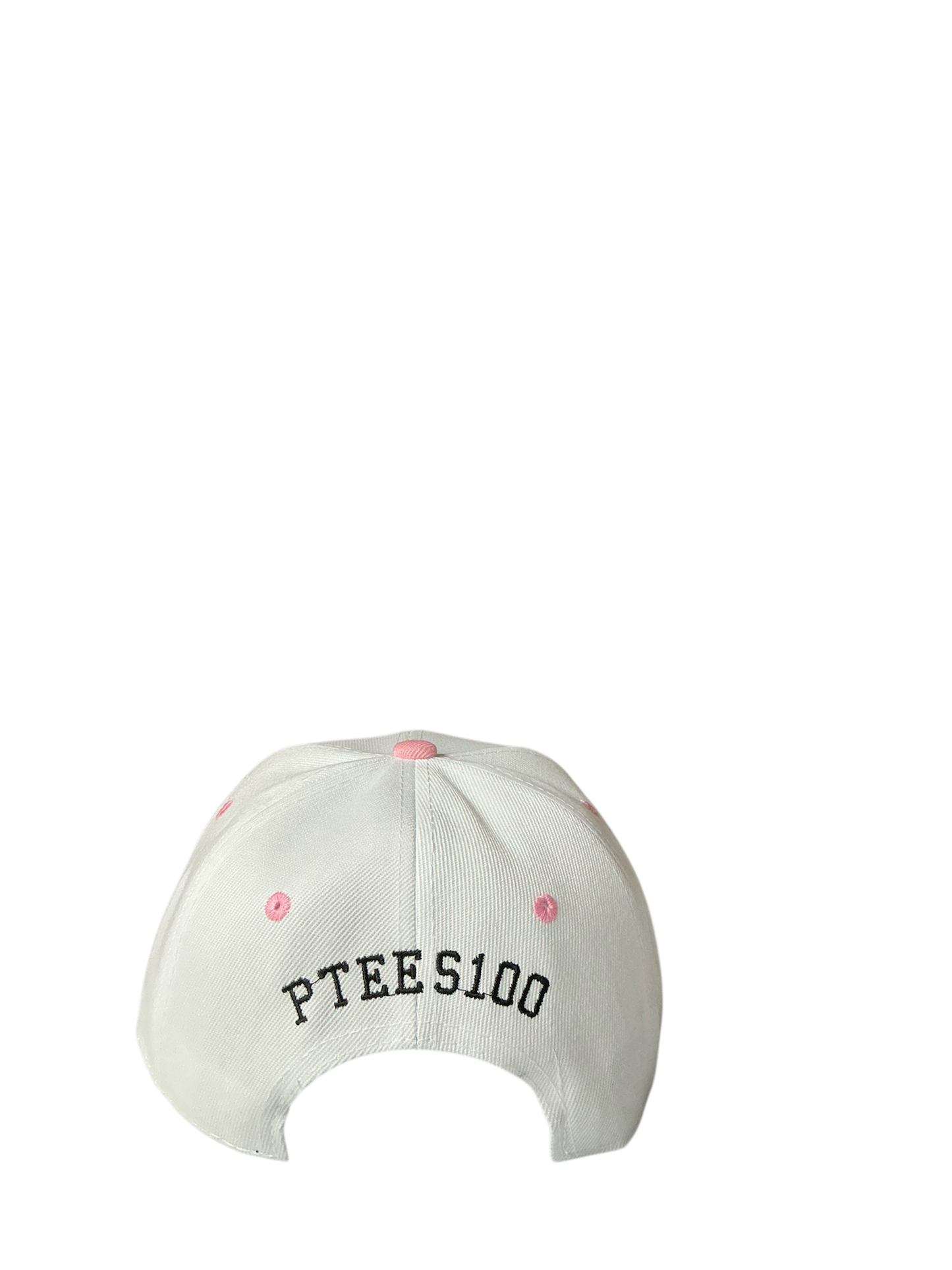 SnapBack Grizzoual 100 Hat
