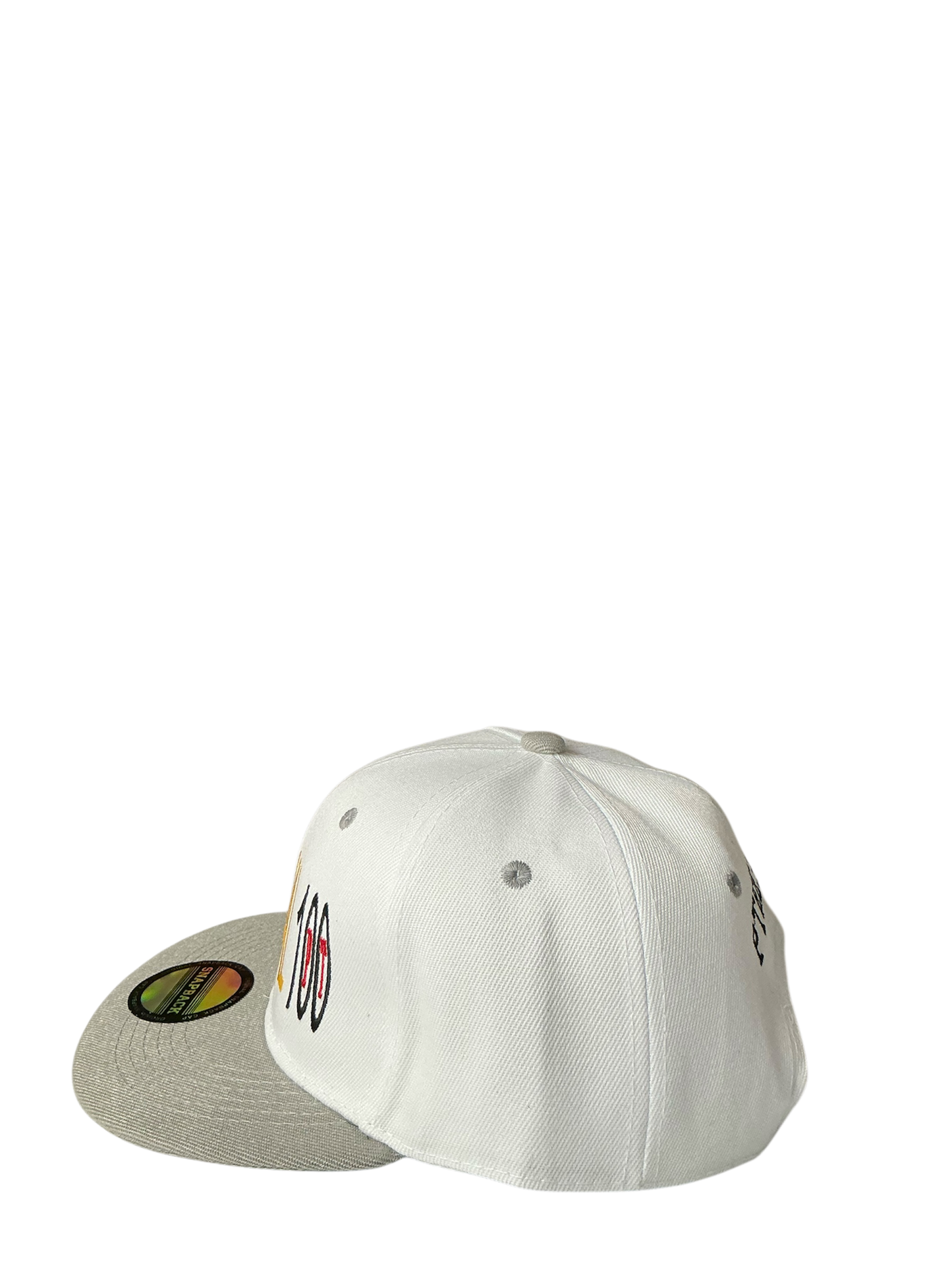 SnapBack Grizzoual 100 Hat