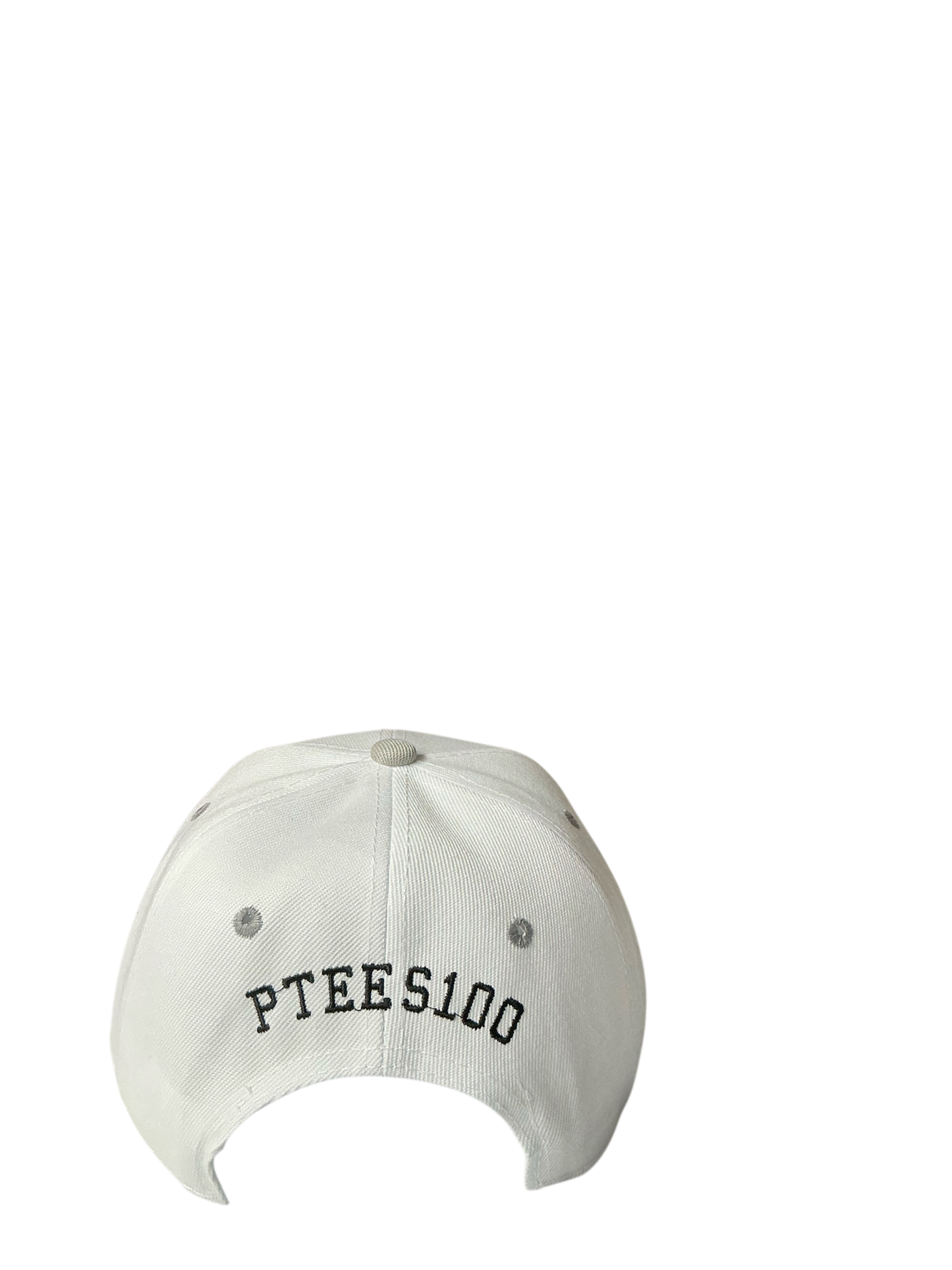 SnapBack Grizzoual 100 Hat