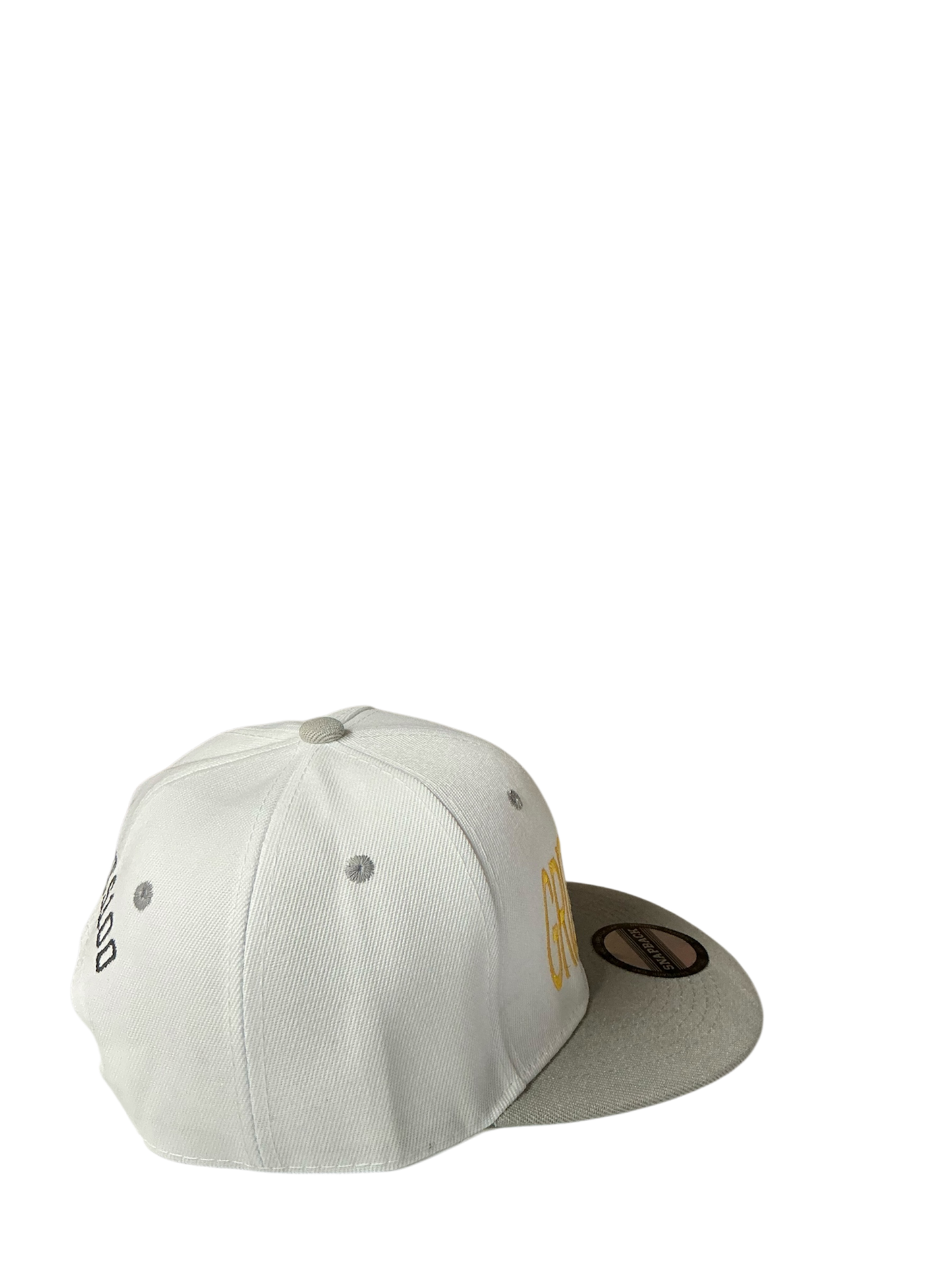 SnapBack Grizzoual 100 Hat