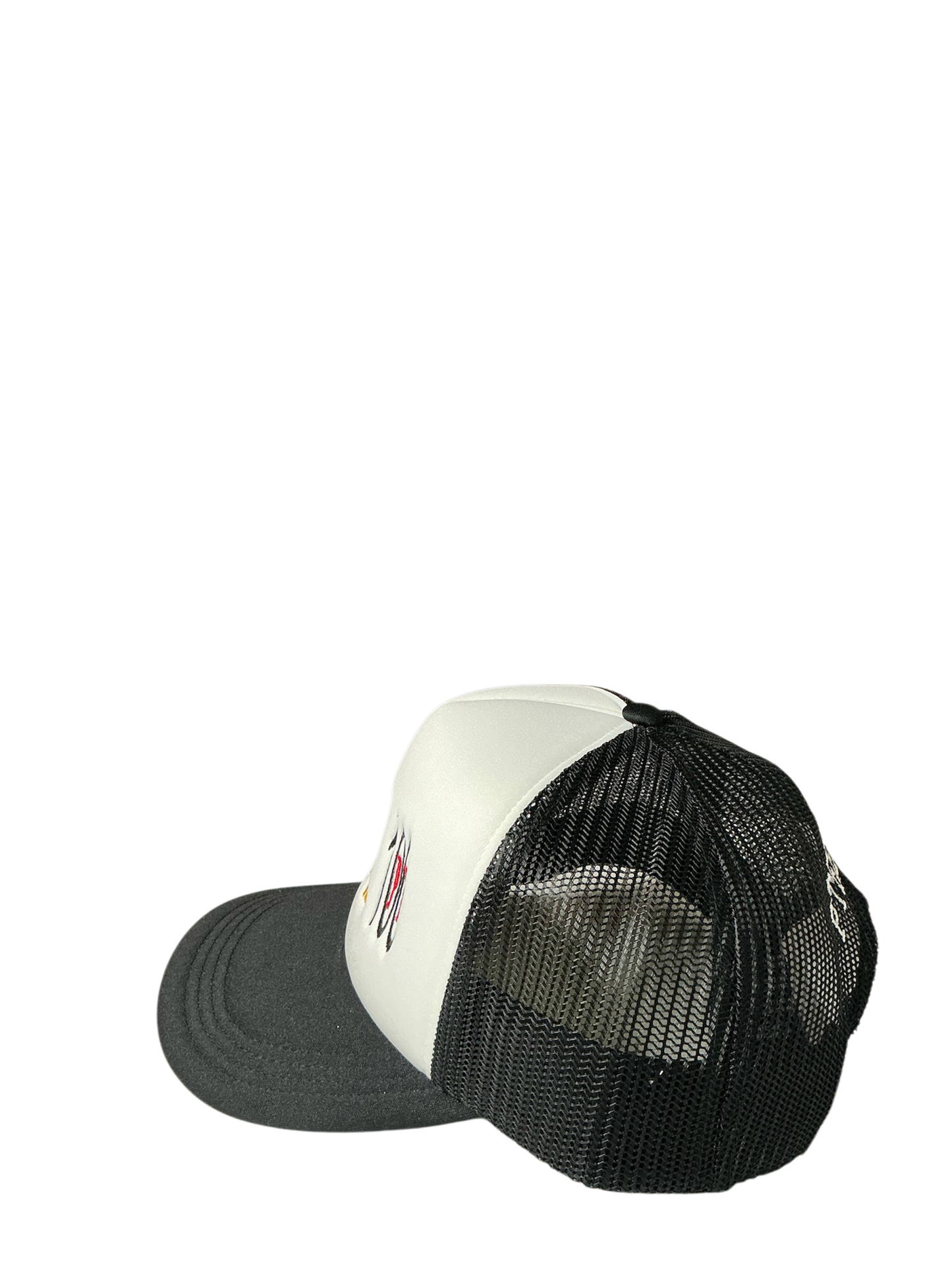SnapBack Grizzoual 100 Hat