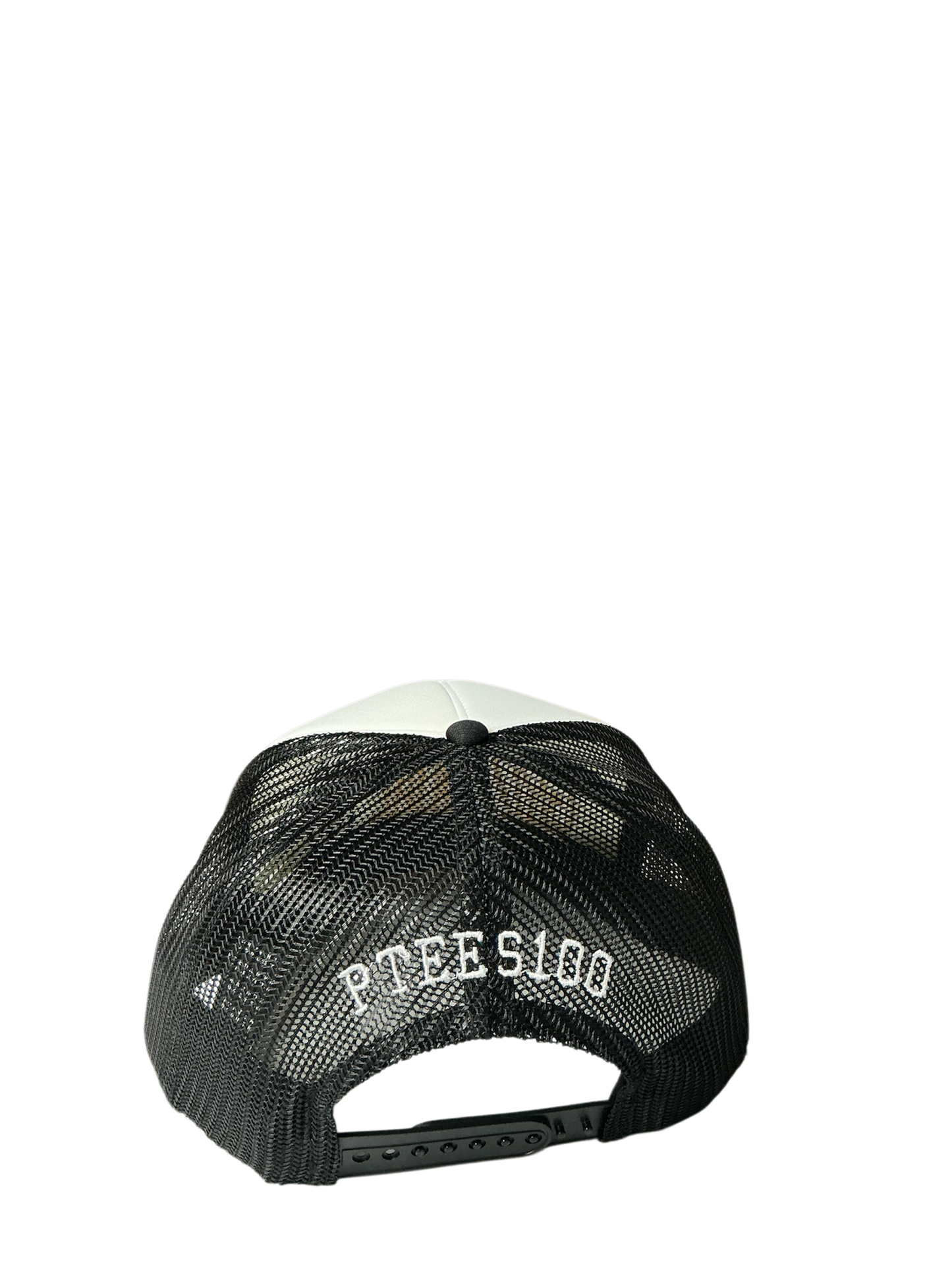 SnapBack Grizzoual 100 Hat