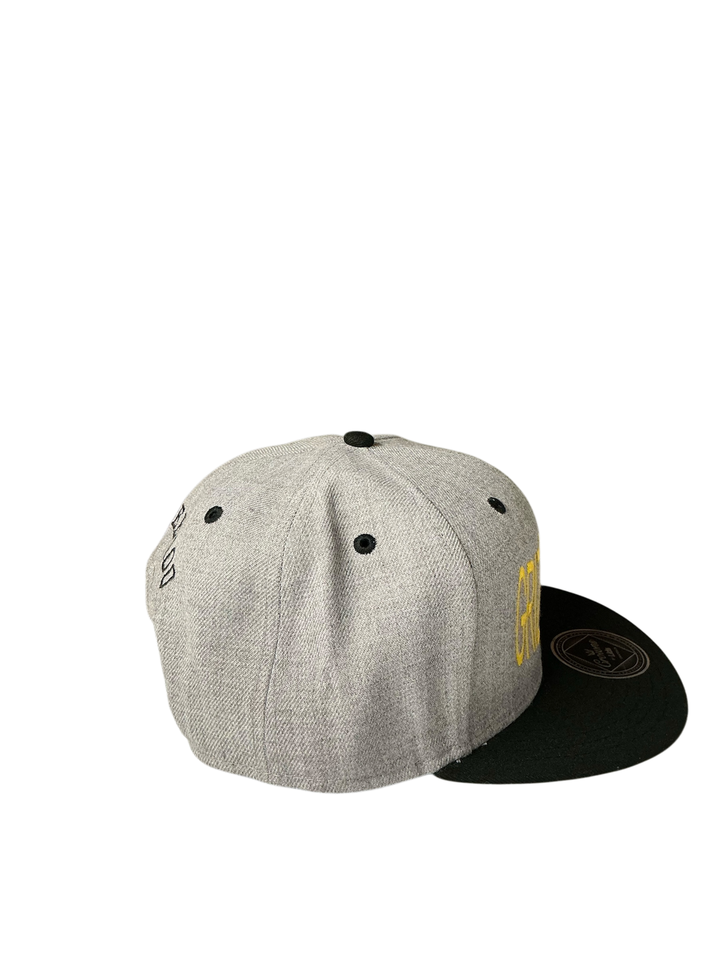 SnapBack Grizzoual 100 Hat
