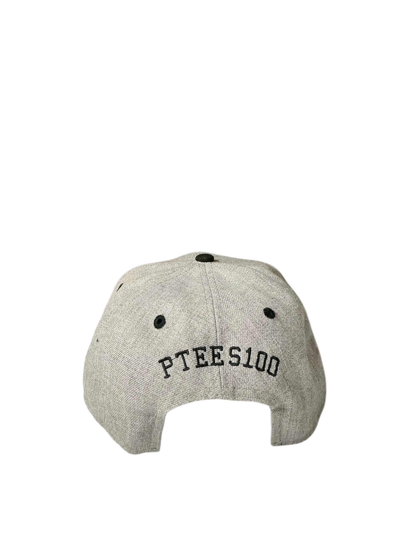 SnapBack Grizzoual 100 Hat