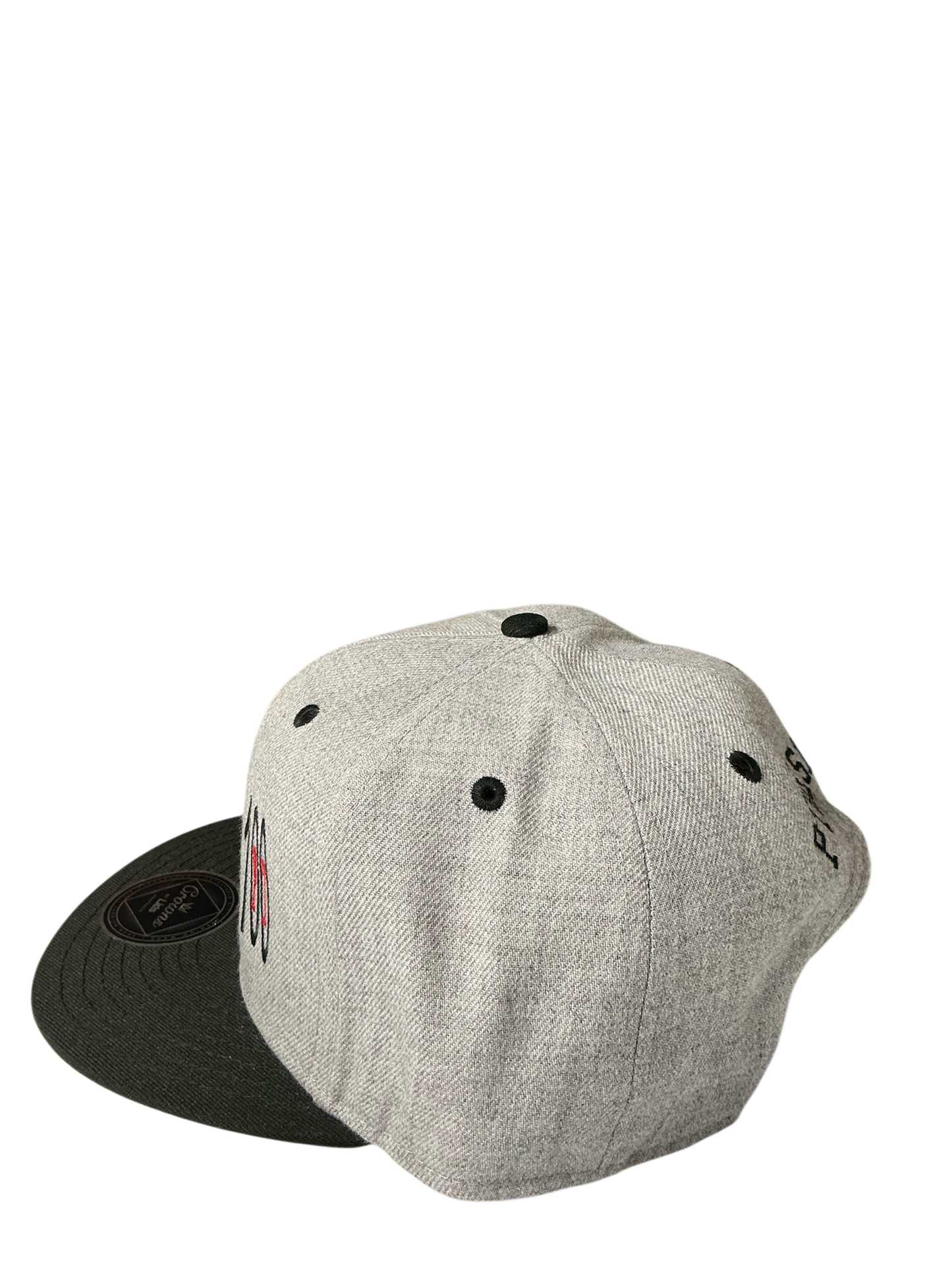 SnapBack Grizzoual 100 Hat